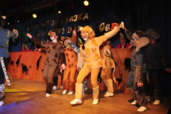 frsche2011-2