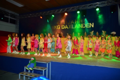 frsche2013-1