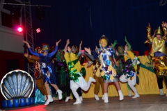 frsche2015-1