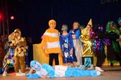 frsche2015-3